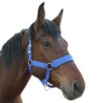 Niutrip Horse Halter With Wool Lining Adjustable Halter For Horses Satin Hardware To Prevent Friction Breakaway Halters For Hors