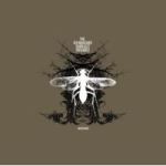 Mutations Cd