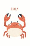Hola Crab - Wall Art Print - A1
