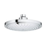 Grohe Euphoria Cosmopolitan Shower Head