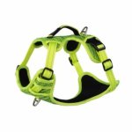 Rogz Utility Medium Snake Explore Harness Yellow Reflective Waggs Pet Shop