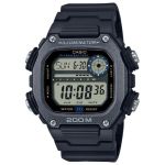 Casio Standard - DW-291HX-1AVDF