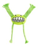 Rogz Flossy Grinz Dog Oral Care Toy - Lime