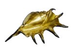 Coral Shell Crab - Black