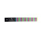 Rainbow Kwiksort Ready Sorter