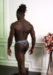 Malepower Sheer Prints Sheer Thong Optical