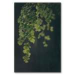 Dark Foliage 1 Art Print - A1 No Frame Print Only