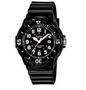 Casio Standard Collection LRW-200H Analog Watch - Black