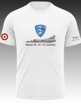 Mirage Iiic Ec 12 Cigognes