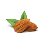 Toasted Almond Concentrate - 50ML