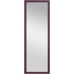 Dress Mirror 1 Ea 90120