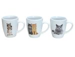 Mug Cats 3 Piece Set - 220ML