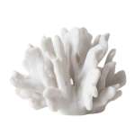 White Coral Decoration