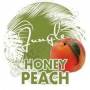 Honey Peach Concentrate - 10ML