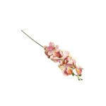 Orchid 100CM Peach Pink