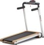 Reebok I-run 4.0 Treadmill Silver