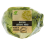 Butter Lettuce Head 1S