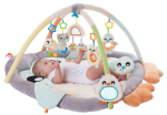 Snuggle Me Penguin Tummy Time Gym