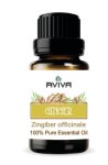 Aviva Ess Oil 10ML Ginger