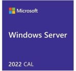 50-PACK Of Windows Server 2022 2019 User Cals Std Or Dc Cus Kit