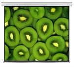 Esquire Electric Projector Screen 300 X 169