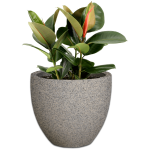 Premium Egg Plant Pot - Medium 430MM X 485MM Granite With Feet