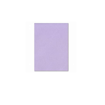 Butterfly A4 Bright Board 10S Lilac
