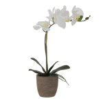 Real Touch Orchid Plant In Ceramic Pot