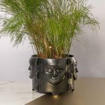Botanist Pot Plant Holder - Matt Black