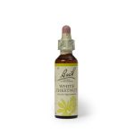 White Chestnut 20ML