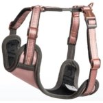 Rogz Urban Comfy Small Dog Harness - Pink Blush Waggs Online Pet Shop