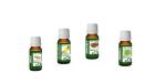 Exotic Cuisine Kitchen Assortment Essential Oils