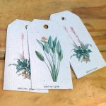Seed Paper Gift Tags – Sa Botanicals