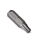 Torx TX25 Tamper Resistant Bit