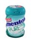 Mentos Bottle Gum - Pure Fresh Winter Green 6 X 61.25 G