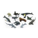 Ocean Sea Creatures Cold Water