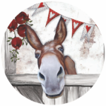 NA0100 Printed Wooden Knob Charlie