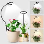 Wolezek 2 In 1 Grow Lights For Indoor Plants 3 Colors Plant Lights For Indoor Growing With 360 Gooseneck 48 Leds Full Spectrum P