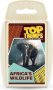 Top 30 Africa's Wildlife