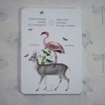 Animal Number Cards
