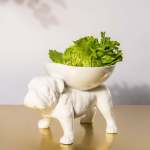 Brutus Bulldog Extra Large Fruit Bowl - Gloss White
