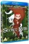 The Secret Of Kells Blu-ray Disc