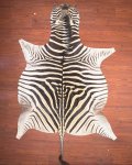 A Grade Zebra Hide 008 L