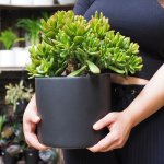 Emerson Pot - Matt Large - Black Matt - 19CM