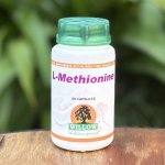 L-methionine 60 Capsules Willow
