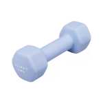Usa Pro Dipping Dumbbell 2.5KG
