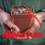 Venus Fly Trap 'B52' - Dormant Plant. 7.5CM Plastic Container.
