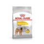 ROYAL CANIN Dog Dermacomfort - Medium - 12KG