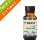 Pure Indigenous Cape Chamomile Eriocephalus Punctulatus Essential Oil