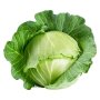 Pnp Cabbage Head